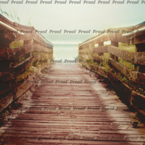 The Morning After fine art print from Anatomy of Release features Ponce Inlet, Florida, heartbreak, ocean, and searching.
