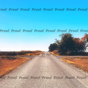 Rural Oklahoma road stretching into the distance under a bright blue sky, used as Anatomy of Release chapter art