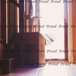 Moving box near an open front door with bright sunlight pouring into a home, used as Anatomy of Release chapter art