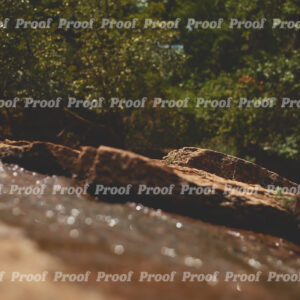 Sunlit creek with rocks and trees at Martin Nature Park in Oklahoma City, used as Anatomy of Release chapter art