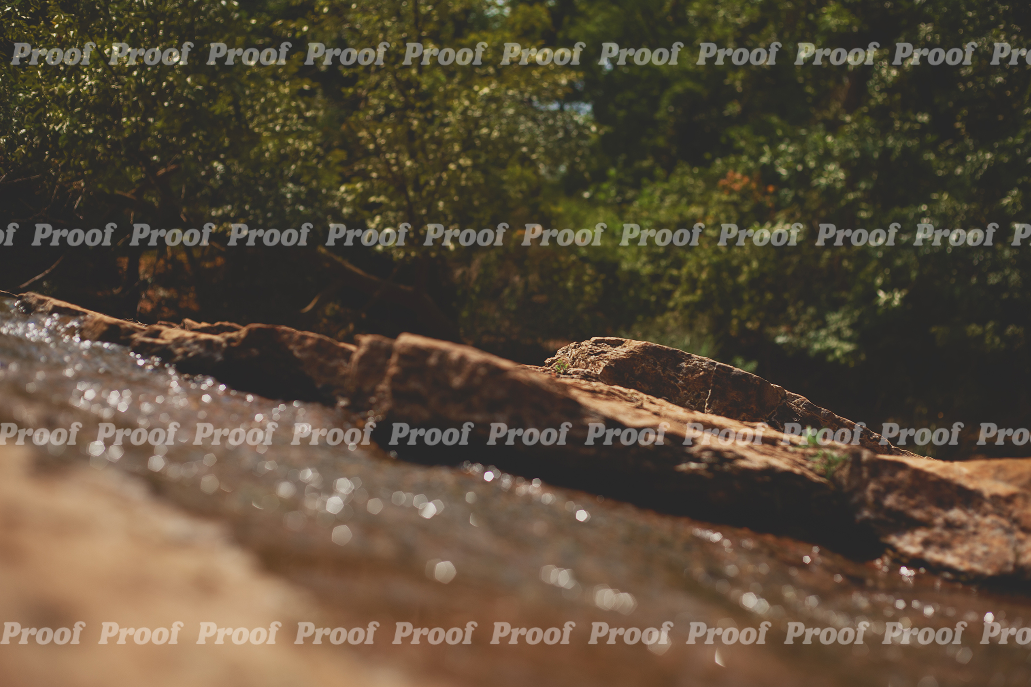 Sunlit creek with rocks and trees at Martin Nature Park in Oklahoma City, used as Anatomy of Release chapter art